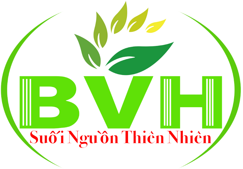BVH Việt Nam